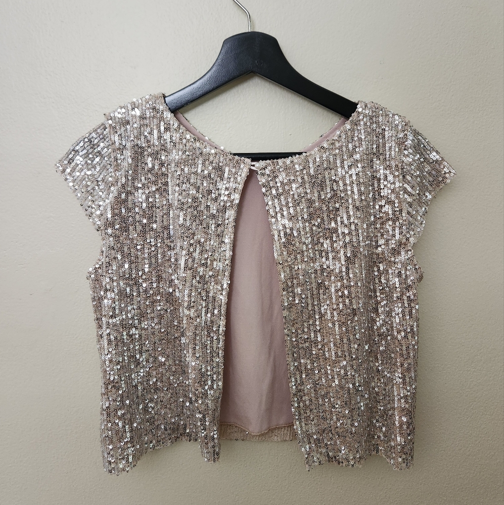 Sequin Embellished Silver Top